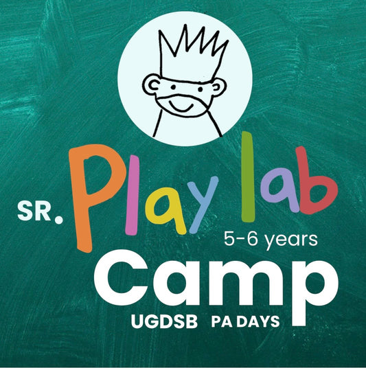 Senior Play lab Camp
