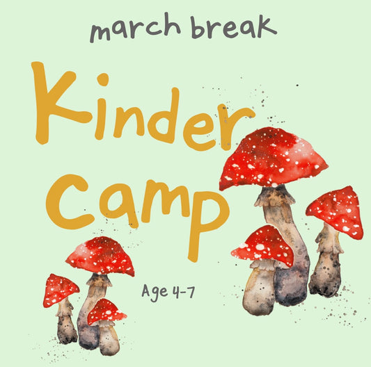 March Break Kinder Camp  2024 (age 4-7)